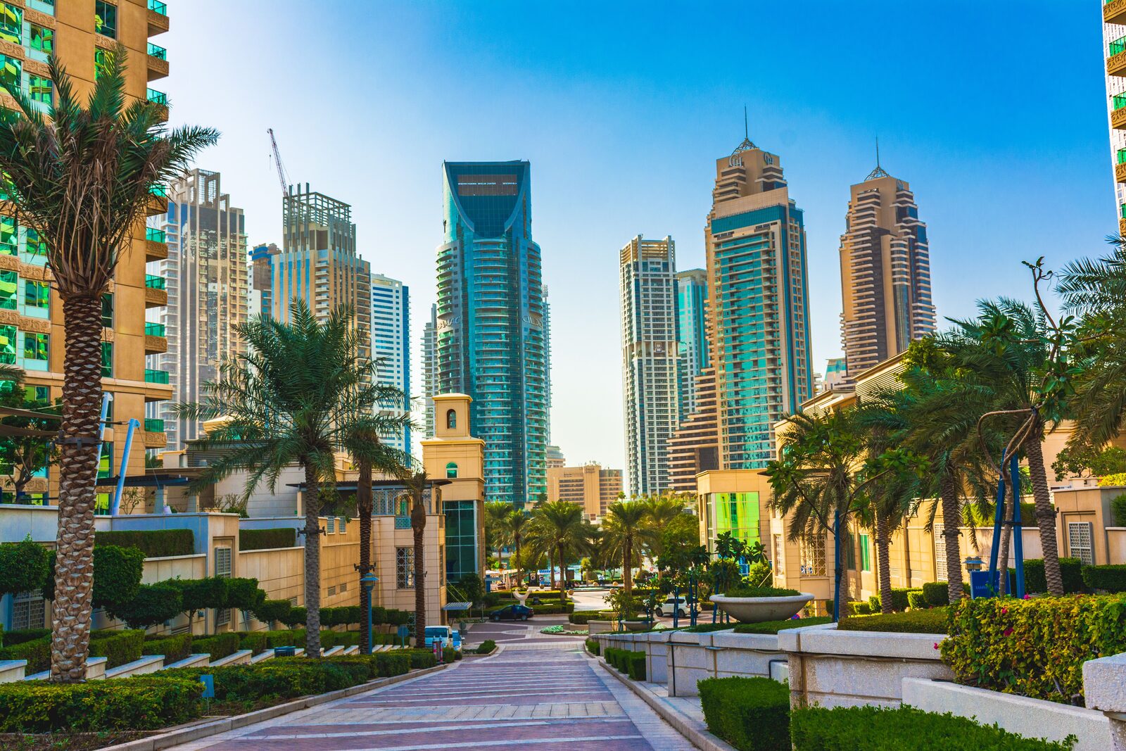 Palm-lined Dubai streets with modern towers
